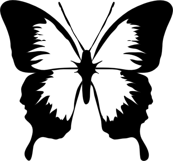 Butterfly Black And White PNG HD