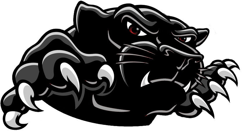 Carolina Panthers Logo PNG HD