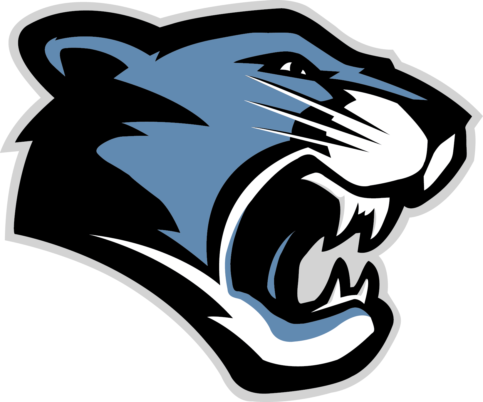Carolina Panthers Logo PNG Photo