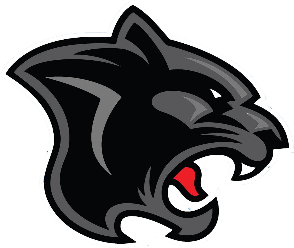 Carolina Panthers Logo PNG Photos