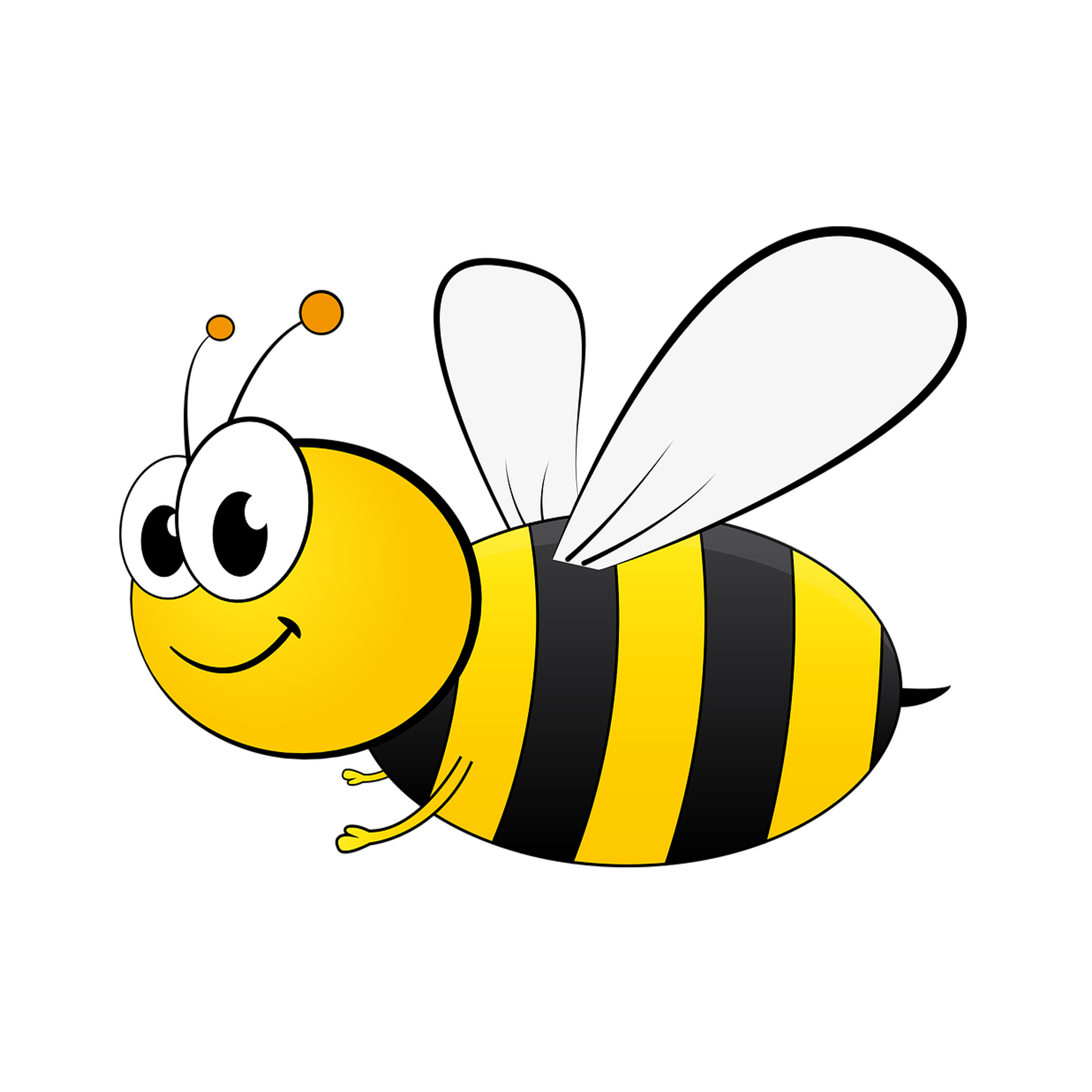 Cartoon Bee PNG Isolated Photo