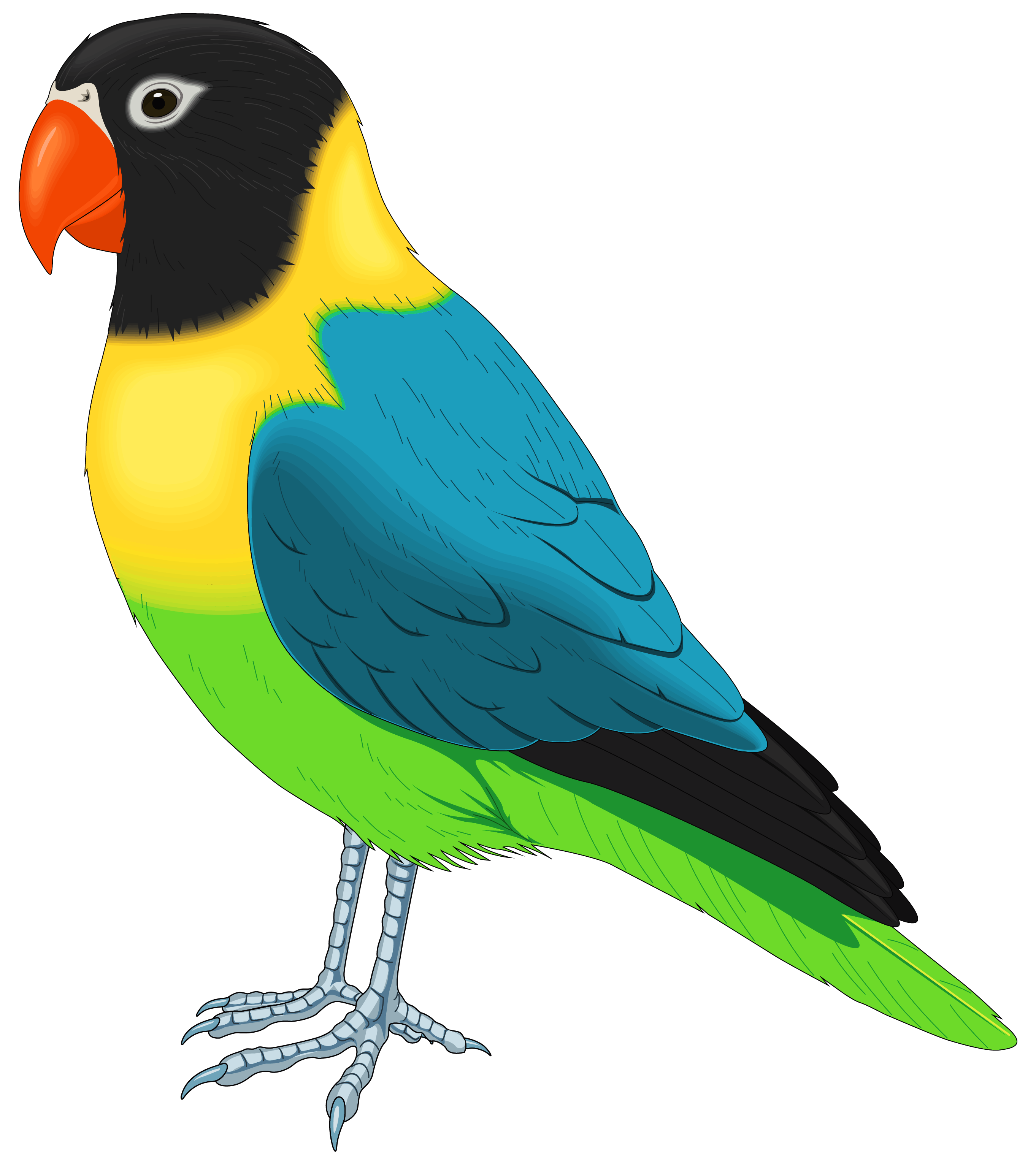 Cartoon Bird PNG HD Isolated