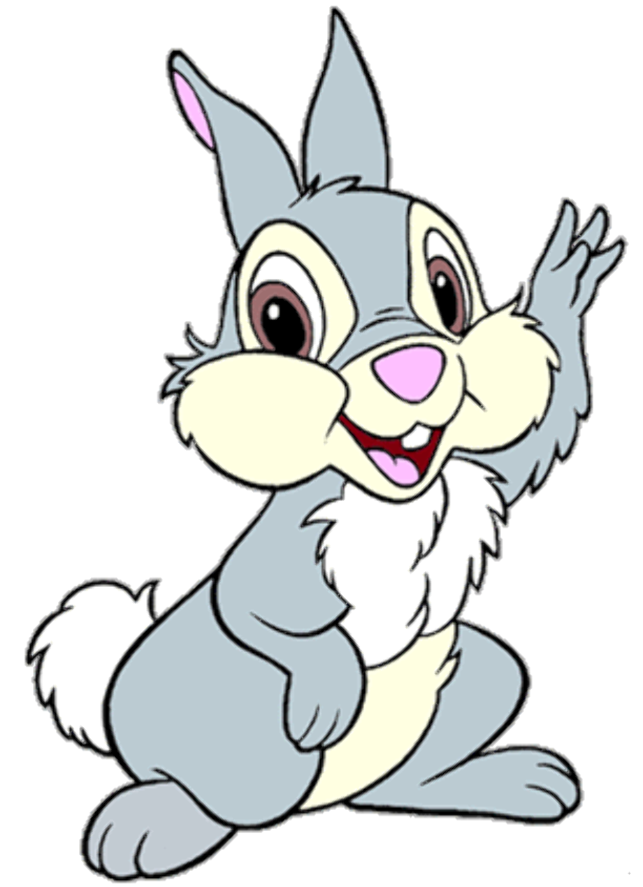 Cartoon Bunny PNG Image