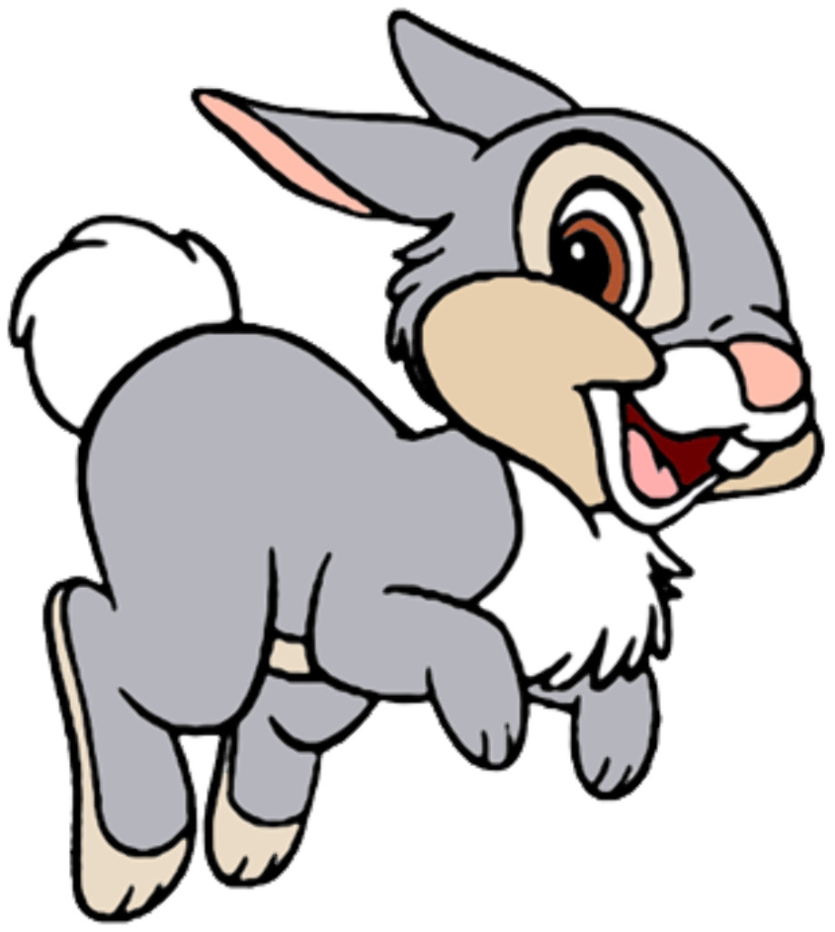 Cartoon Bunny PNG Pic