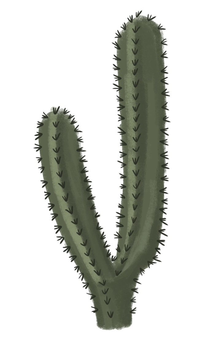 Cartoon Cactus PNG HD Isolated