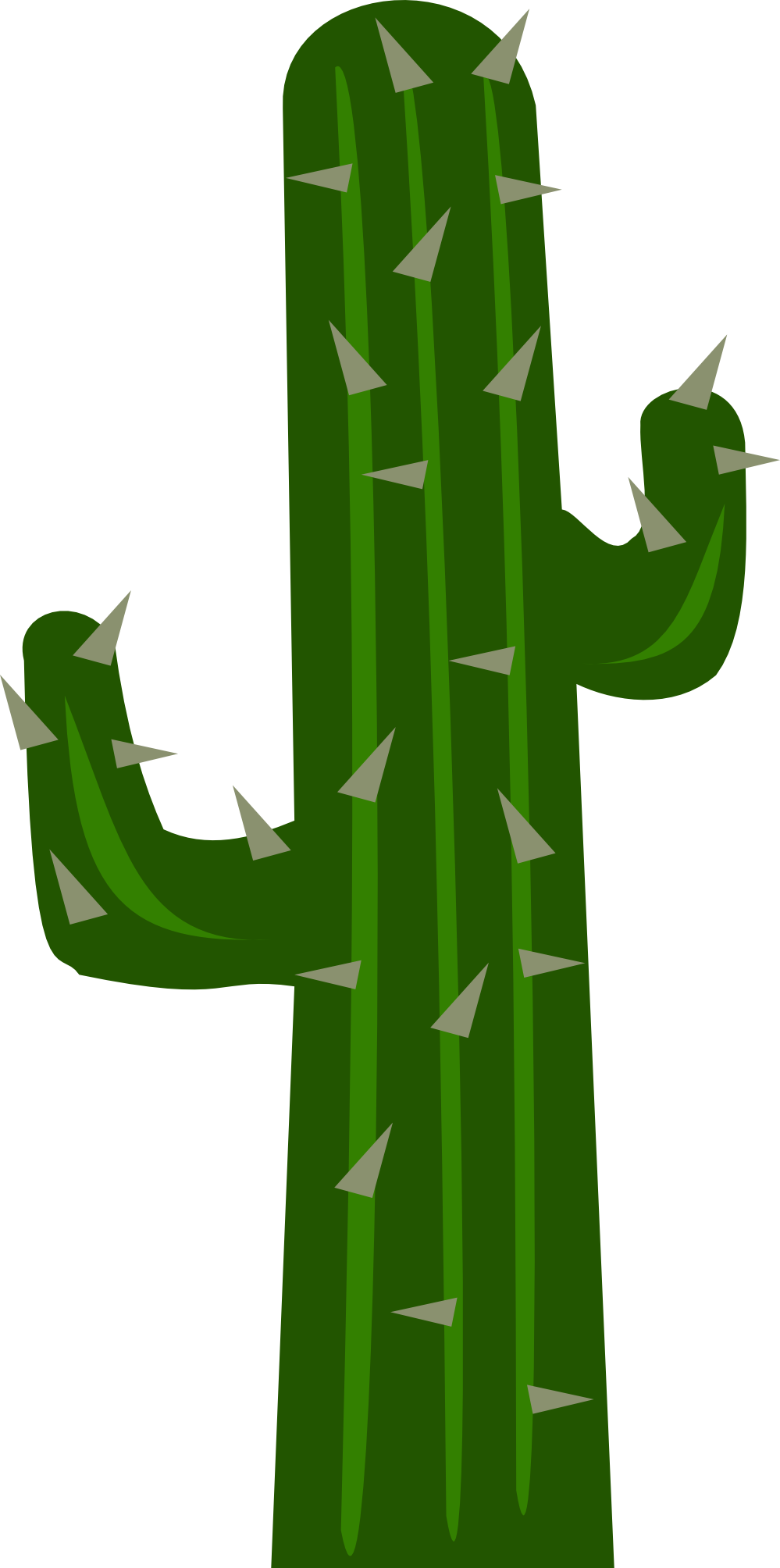 Cartoon Cactus PNG Image