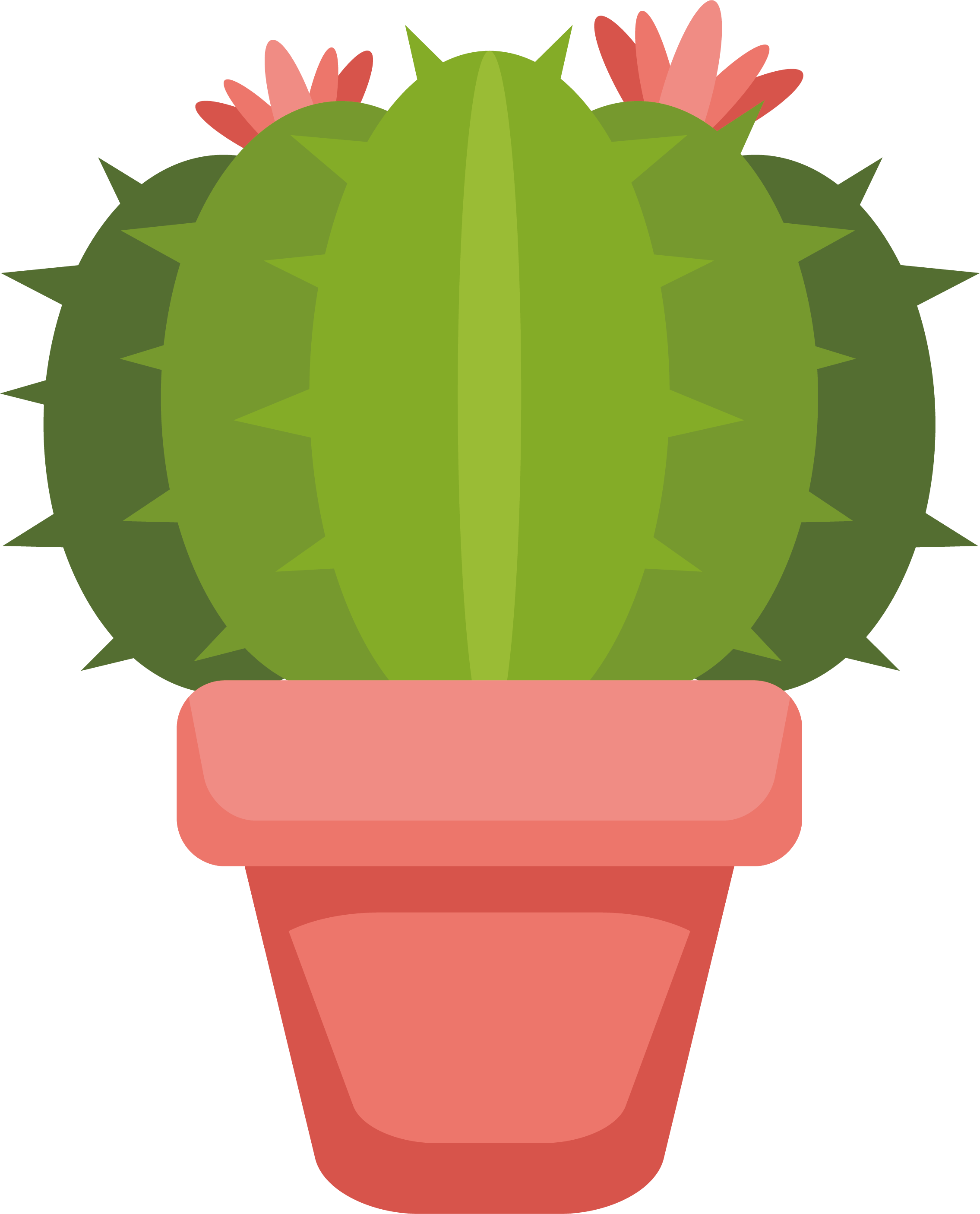 Cartoon Cactus PNG Isolated File