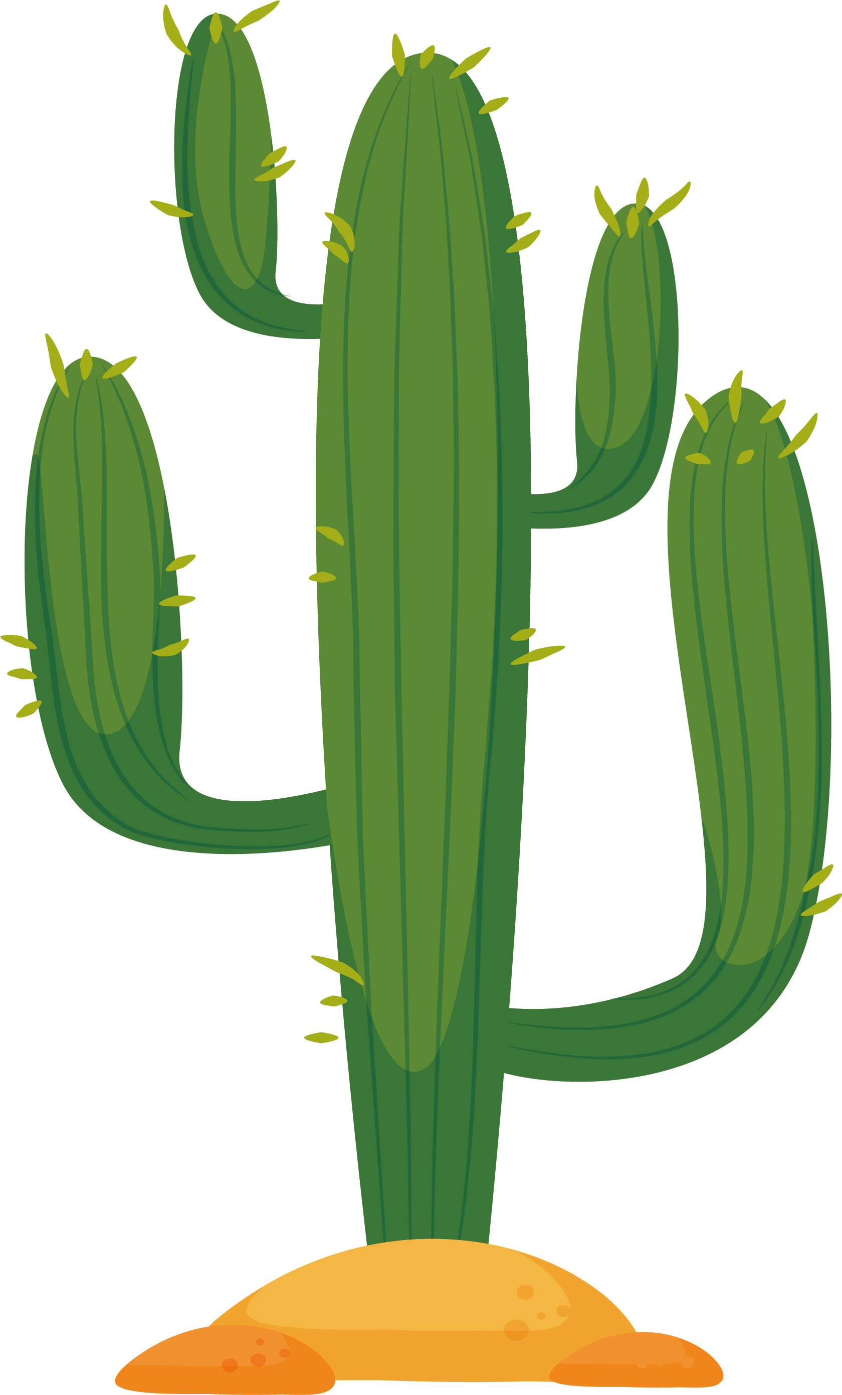 Cartoon Cactus PNG Isolated HD
