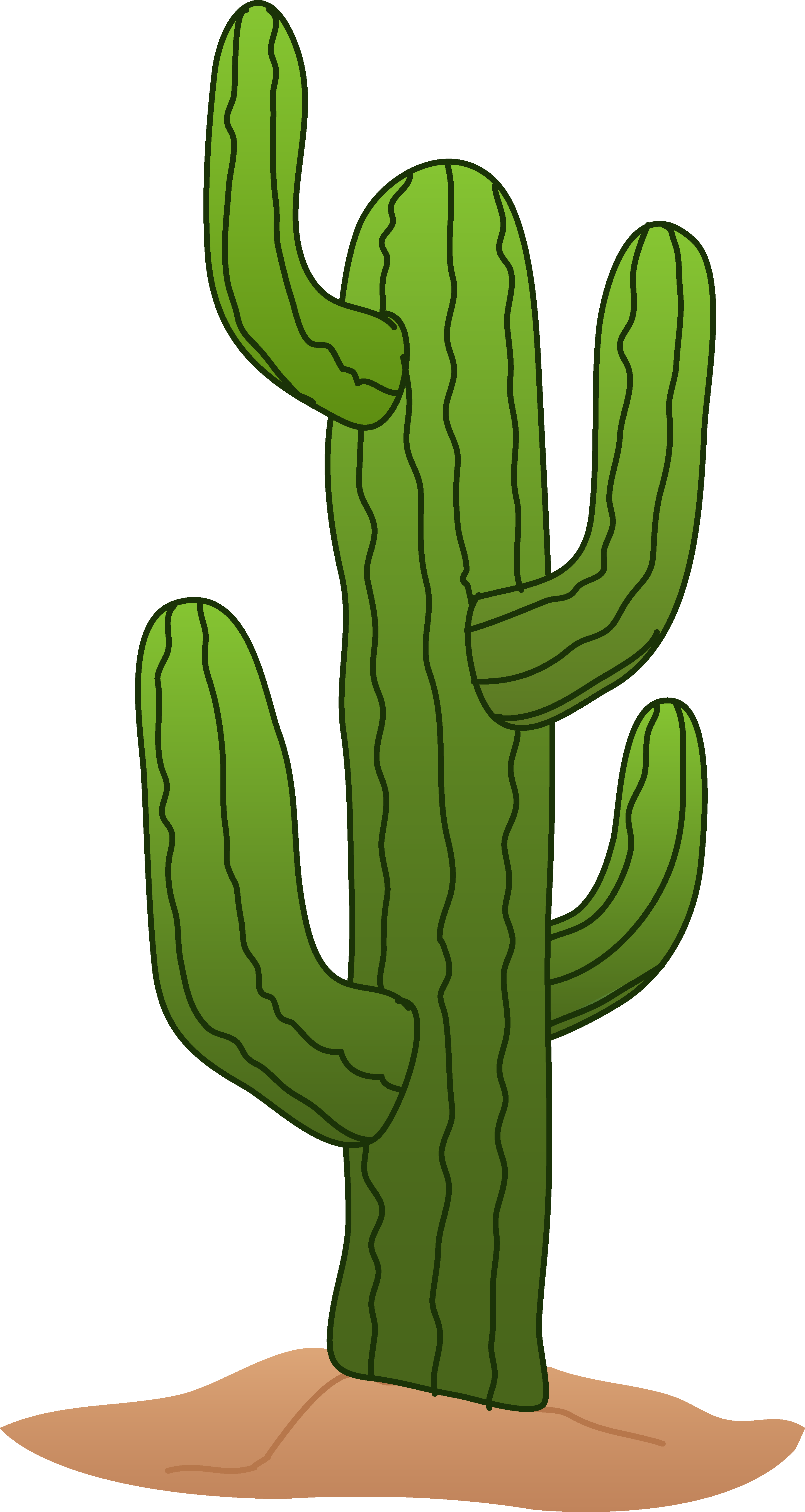 Cartoon Cactus PNG Photo