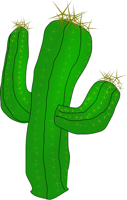 Cartoon Cactus PNG Pic