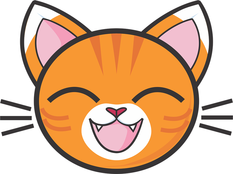 Cartoon Cat PNG
