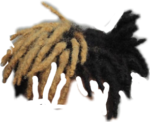 Cartoon Dreads PNG Isolated Image