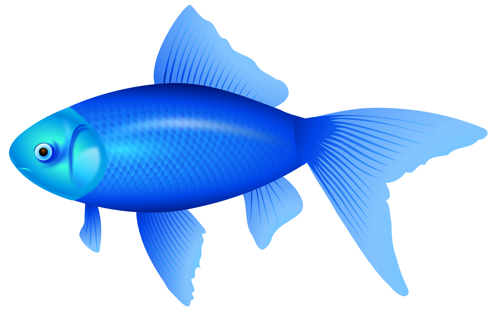Cartoon Fish PNG HD