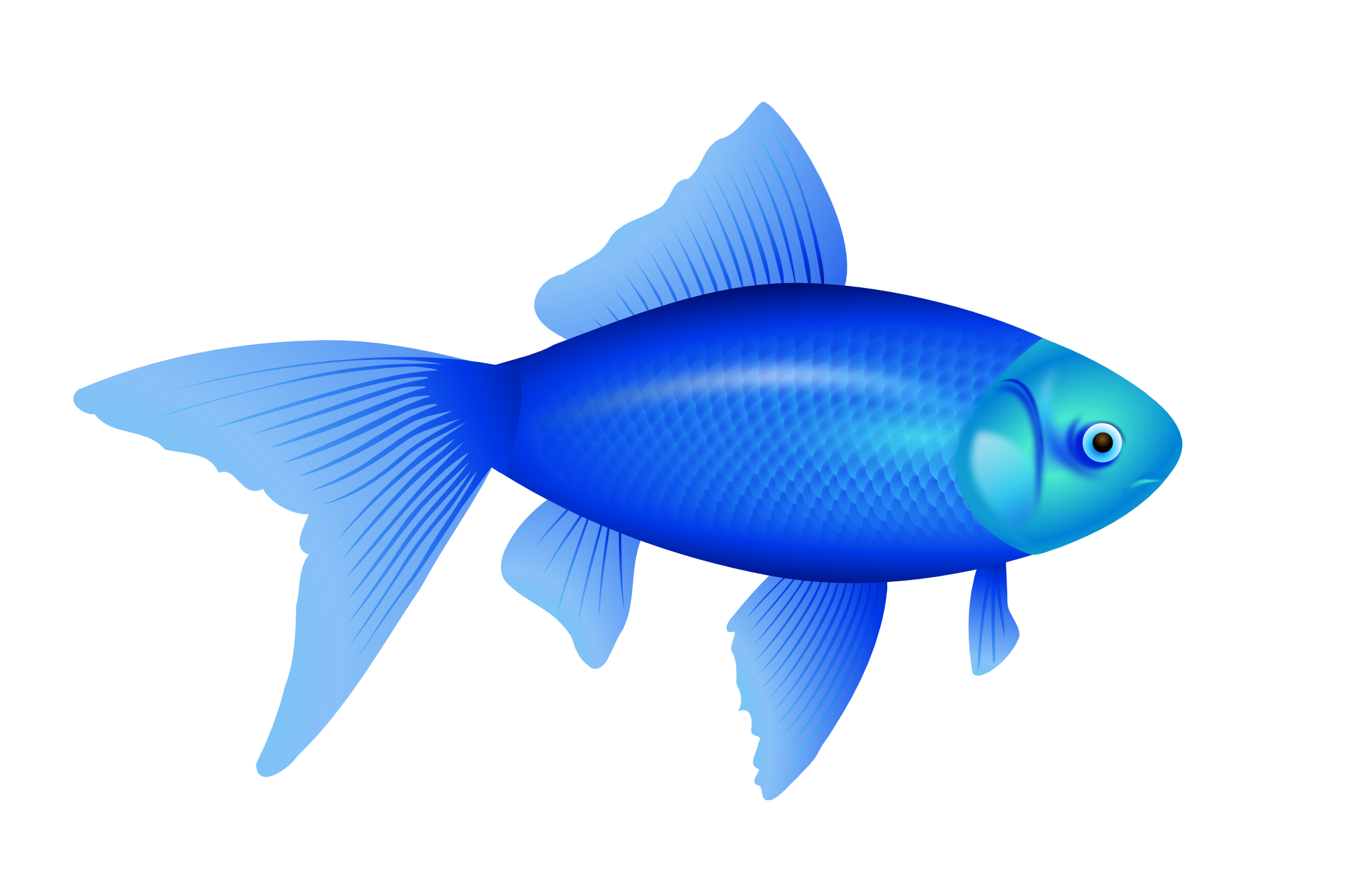Cartoon Fish PNG Transparent