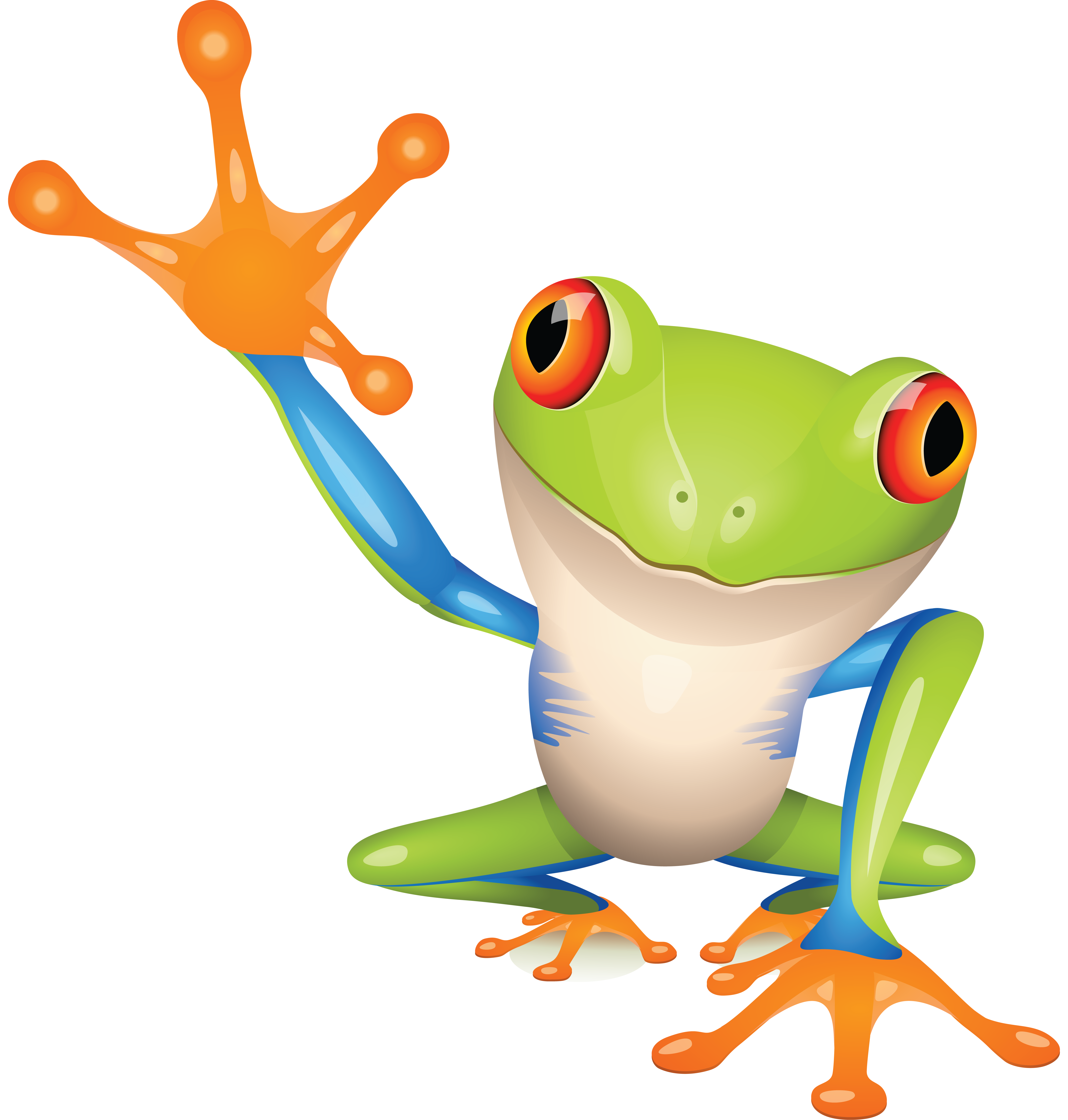 Cartoon Frog PNG HD