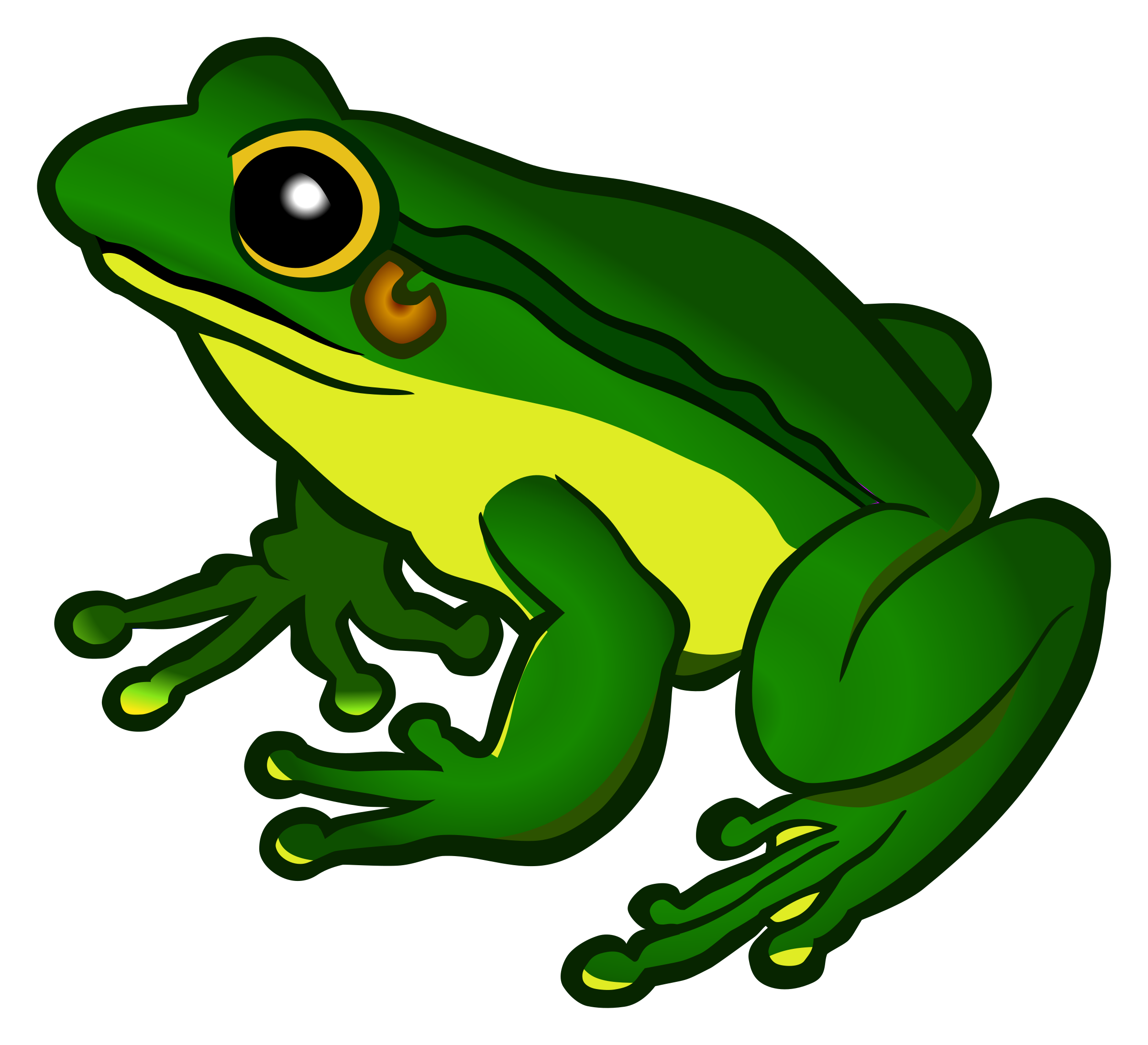 Cartoon Frog PNG Transparent