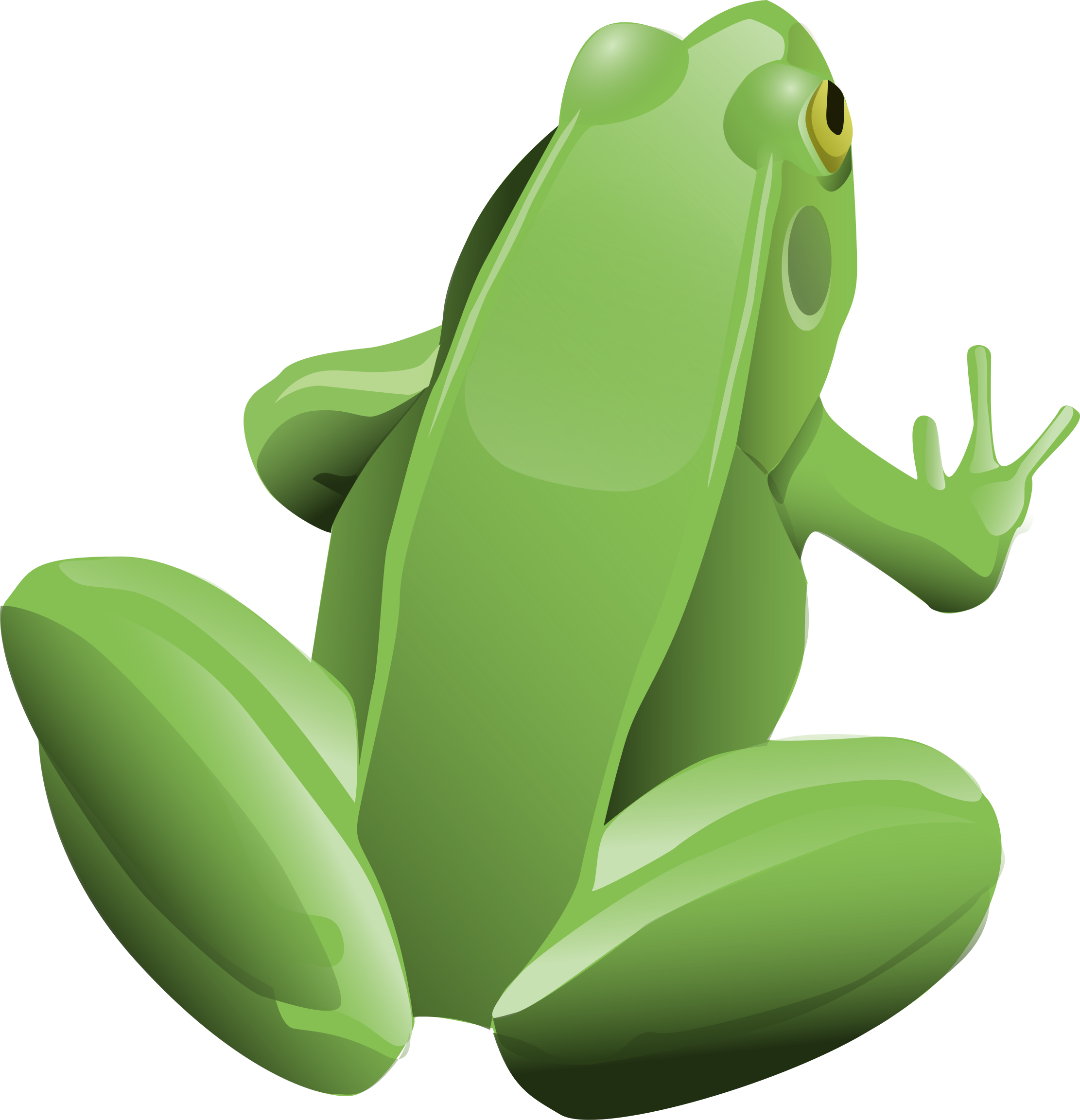 Cartoon Frog Transparent PNG