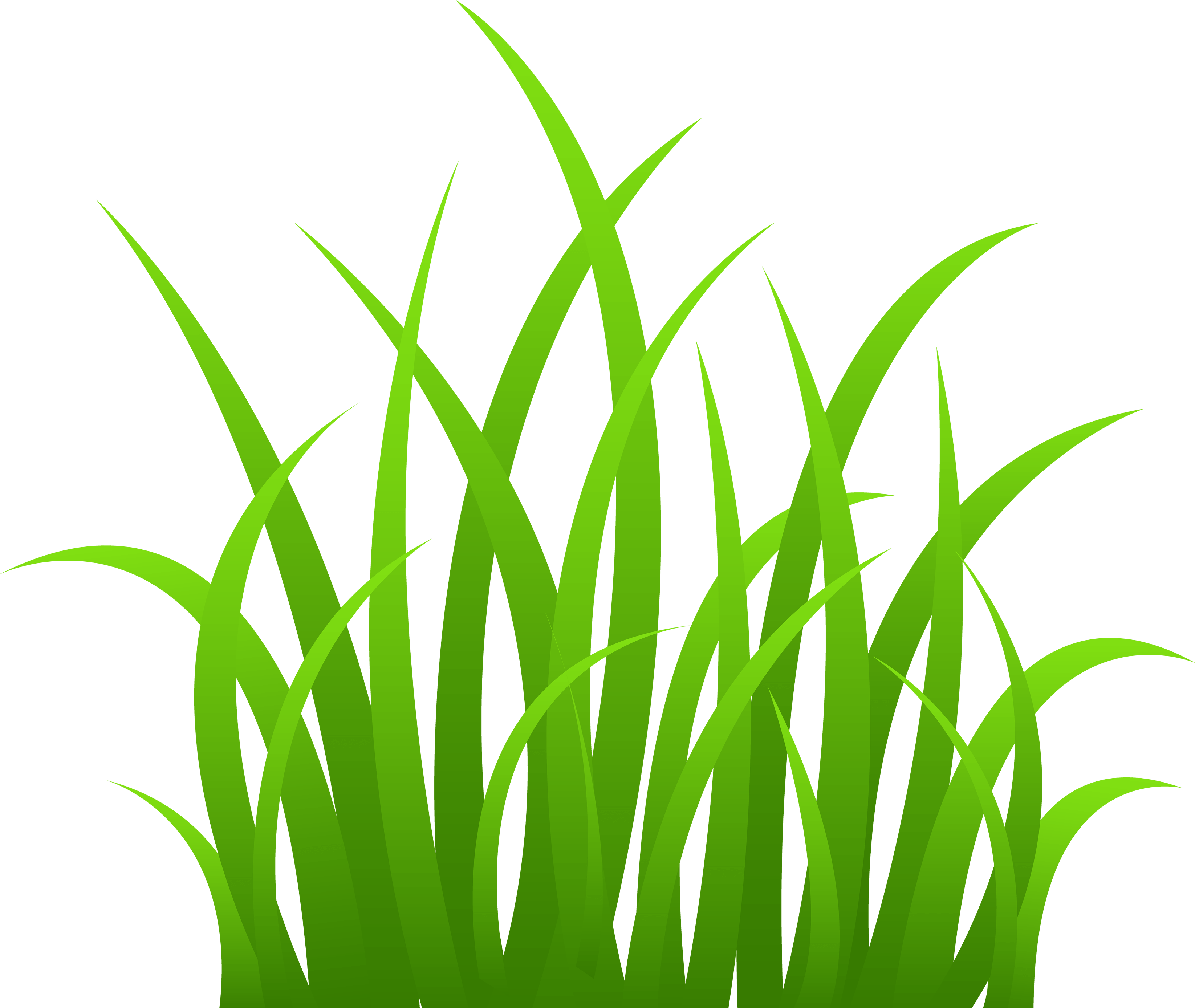 Cartoon Grass PNG Pic