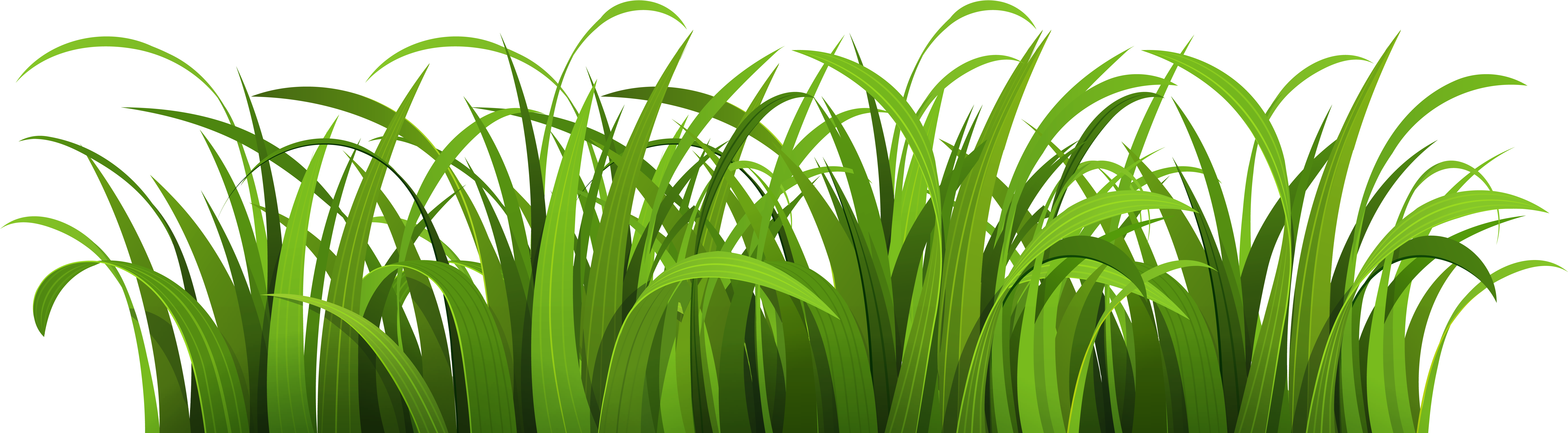 Cartoon Grass PNG Picture
