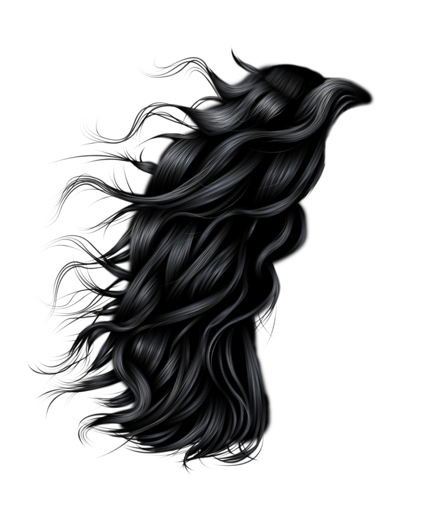 Cartoon Hair PNG Isolated Photo