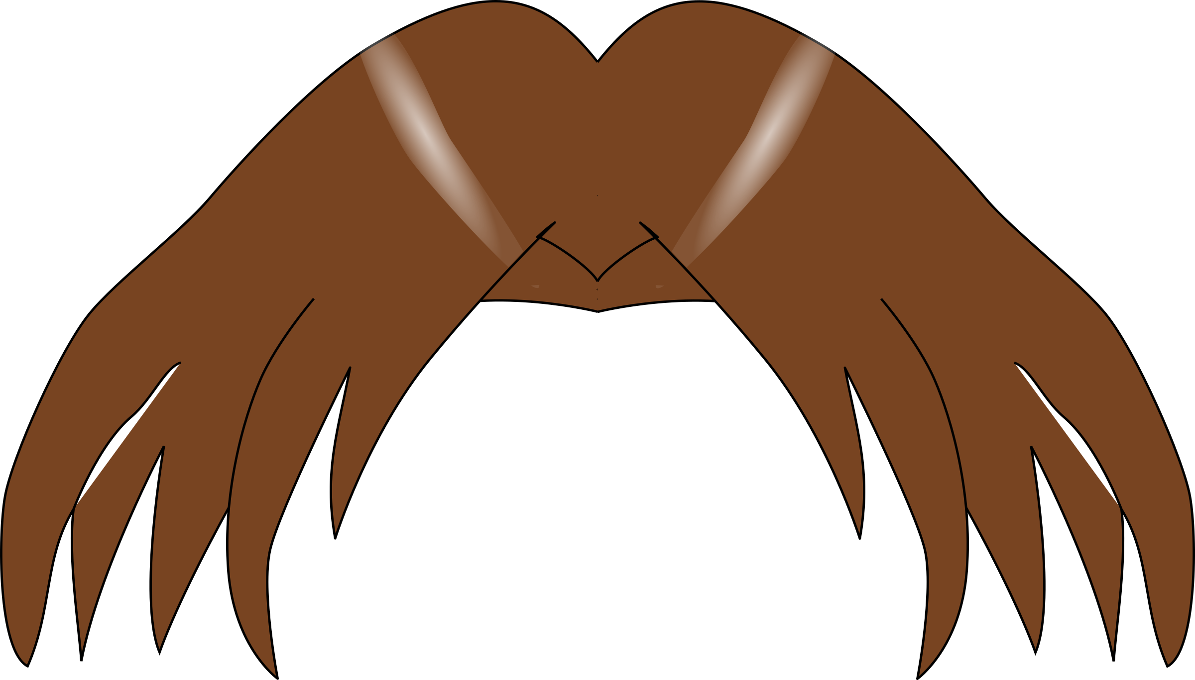 Cartoon Hair PNG Picture