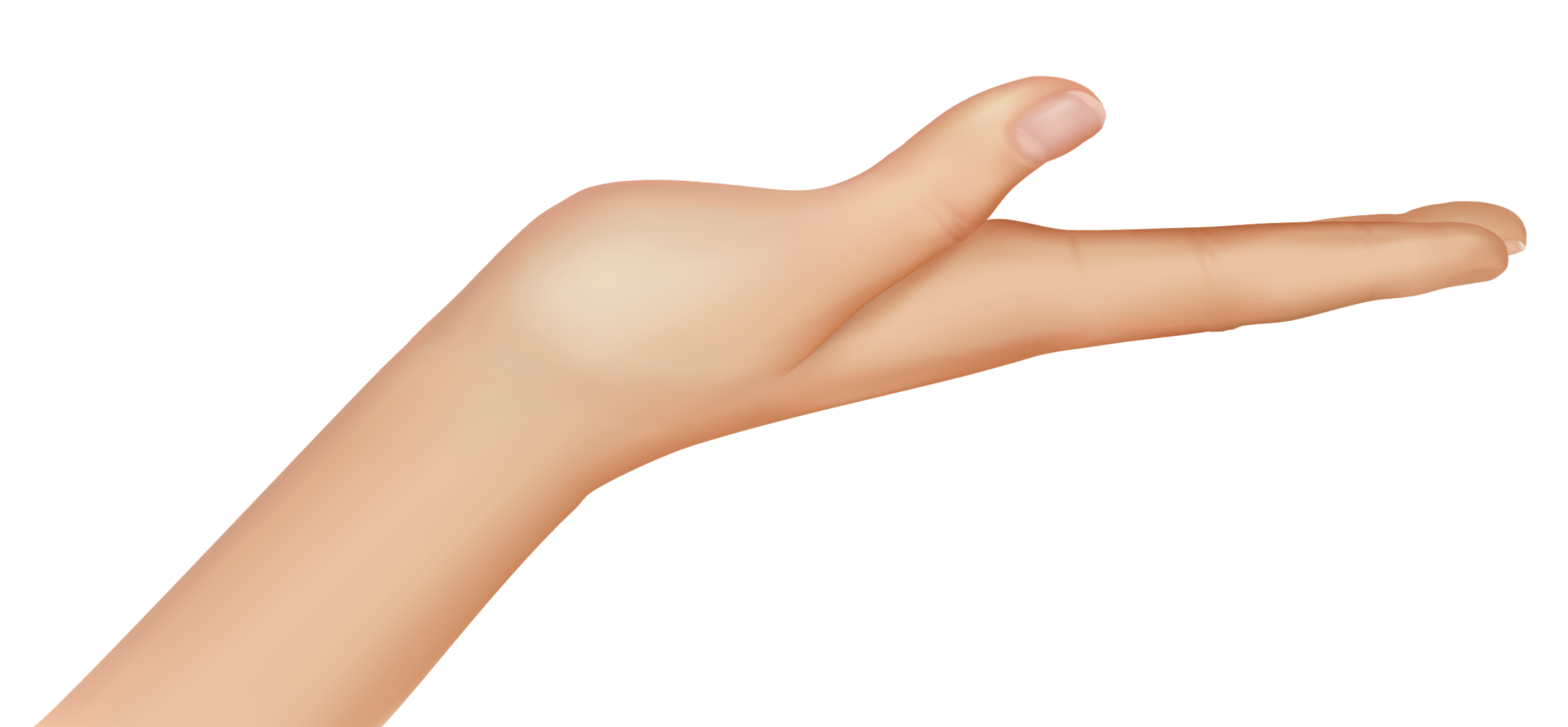Cartoon Hand PNG Isolated HD