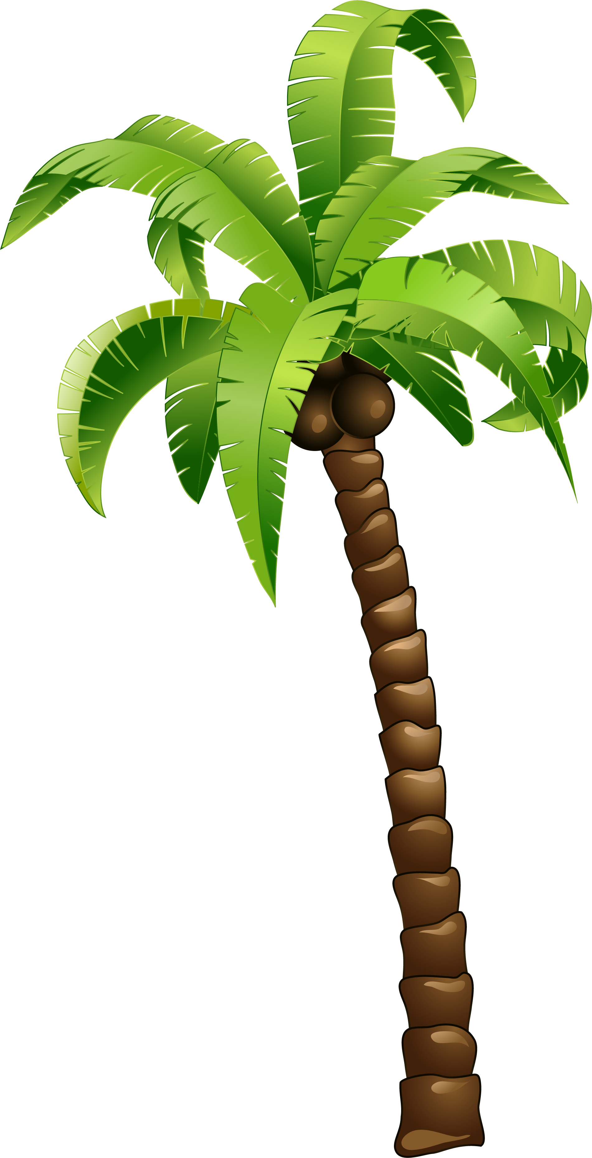 Cartoon Palm Tree PNG File