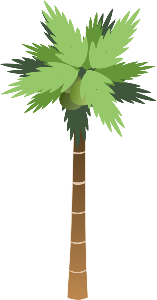 Cartoon Palm Tree PNG HD Isolated