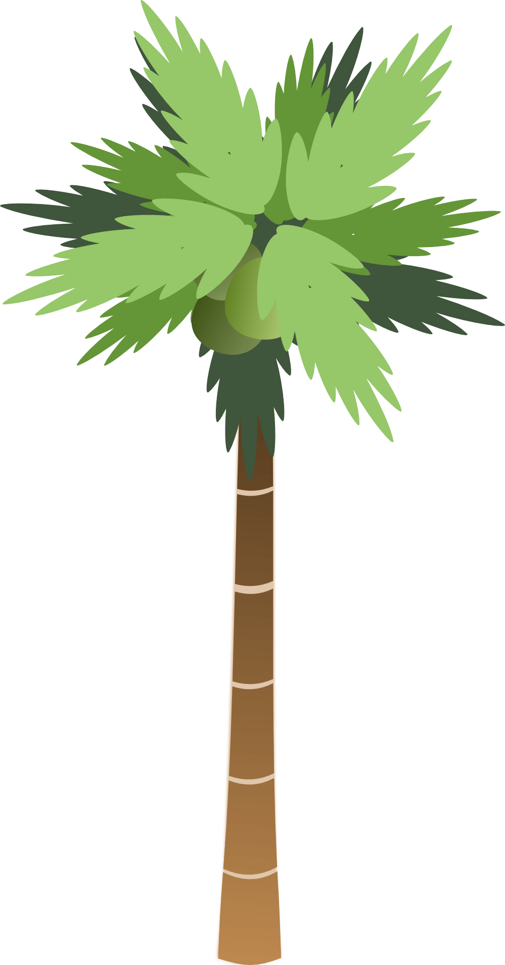 Cartoon Palm Tree PNG HD