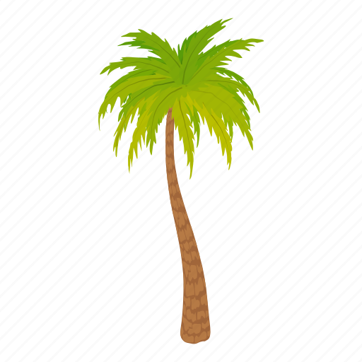 Cartoon Palm Tree PNG Isolated HD