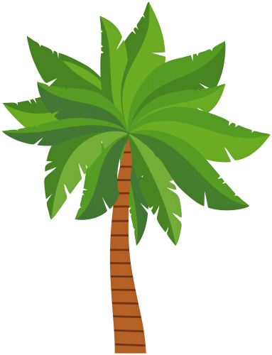 Cartoon Palm Tree PNG Photo