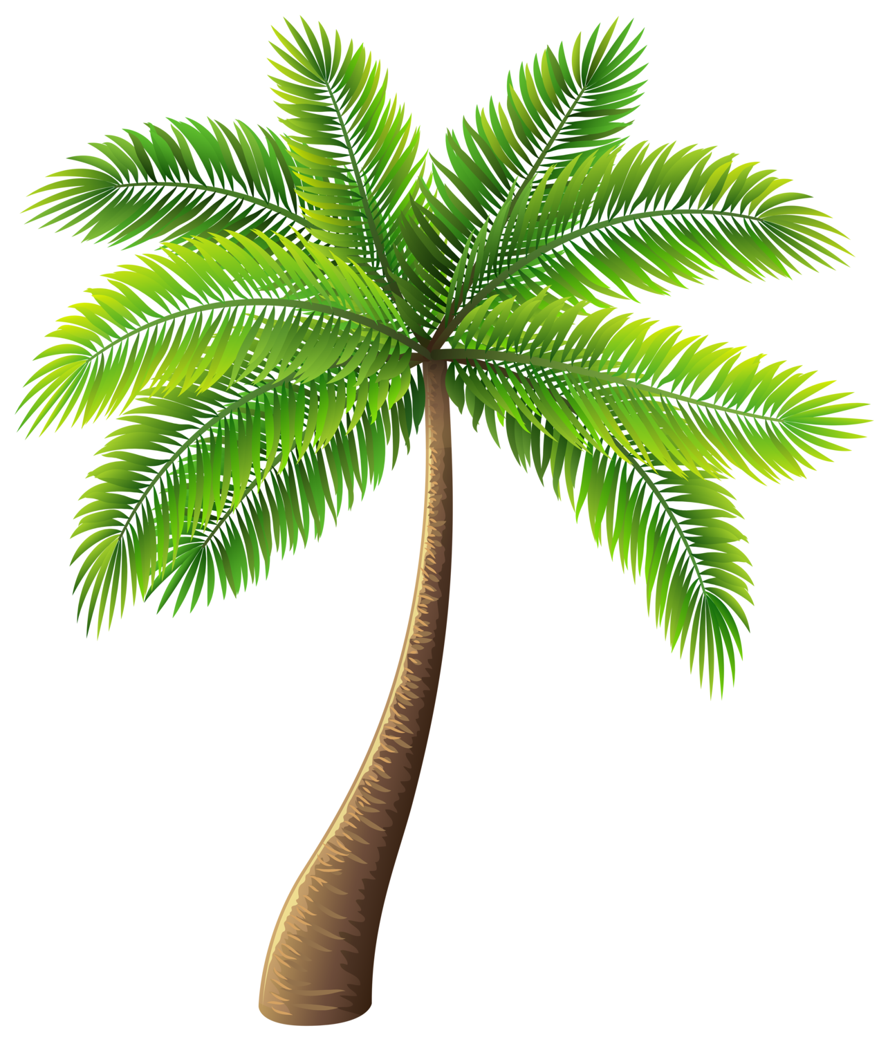 Cartoon Palm Tree PNG Pic