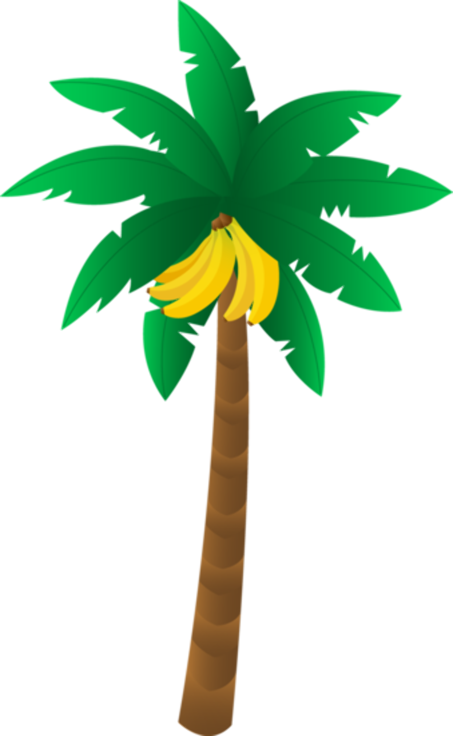 Cartoon Palm Tree PNG Picture