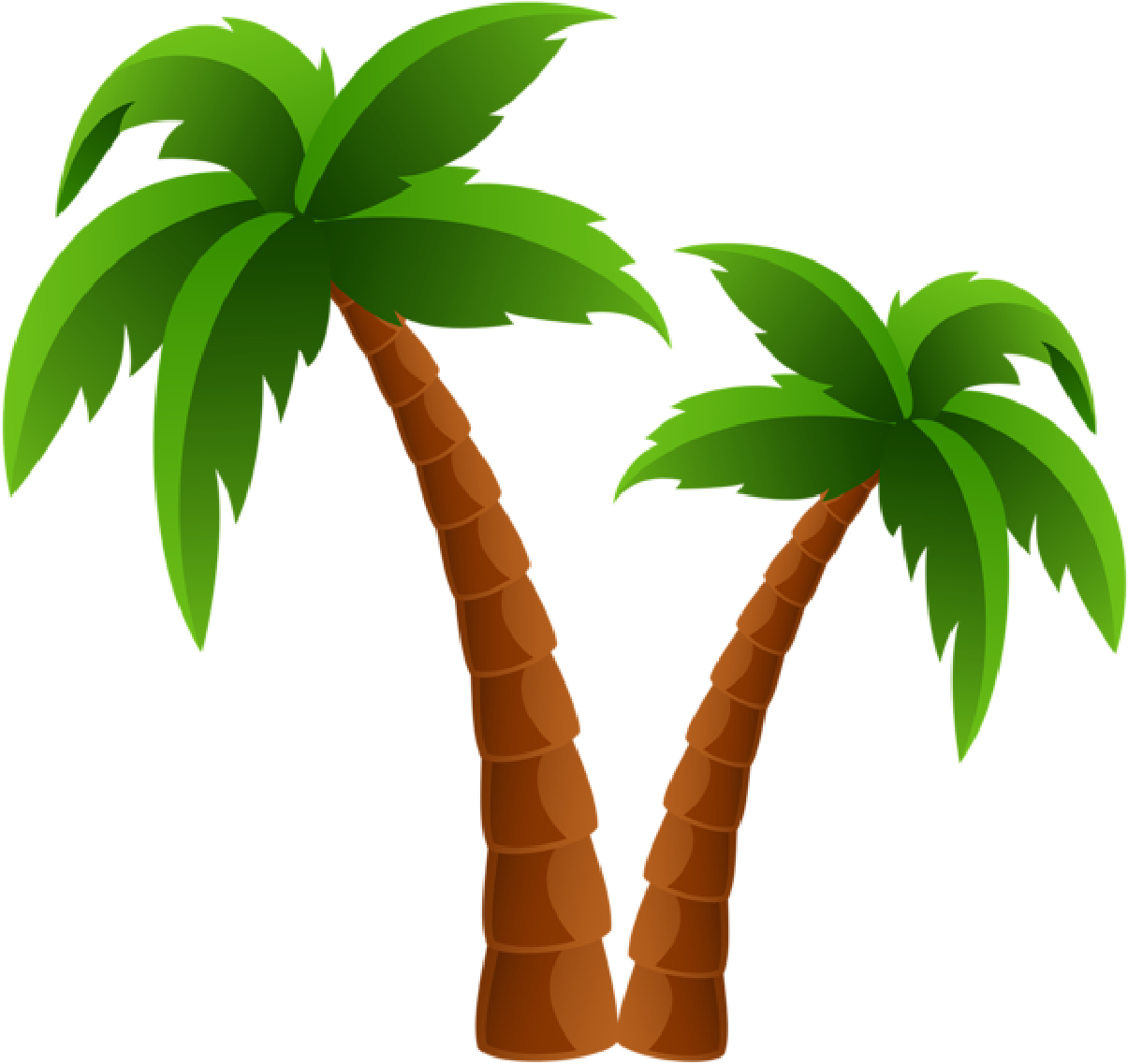 Cartoon Palm Tree PNG