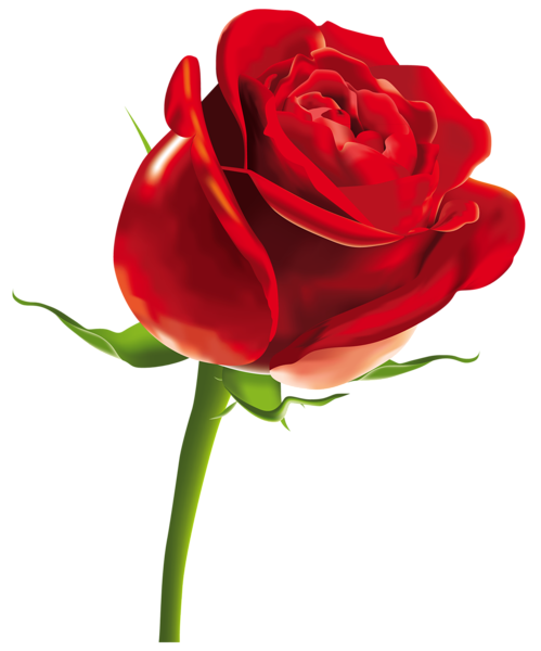 Cartoon Roses PNG Isolated HD