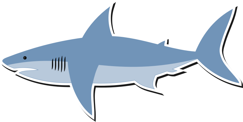 Cartoon Shark PNG Clipart