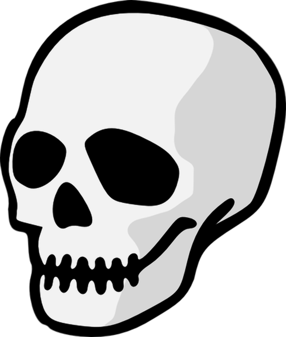 Cartoon Skull PNG Free Download