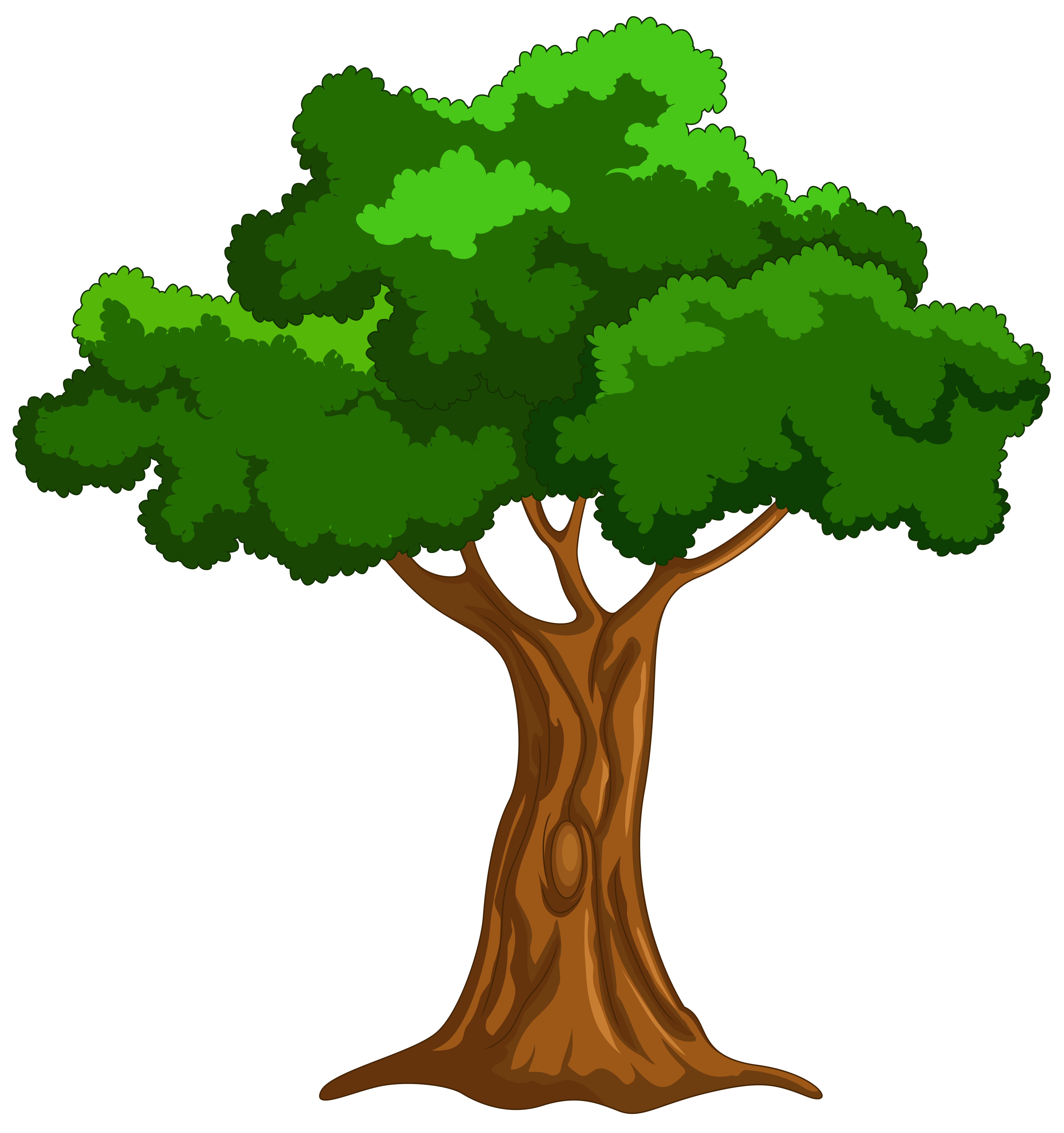 Cartoon Tree PNG Clipart