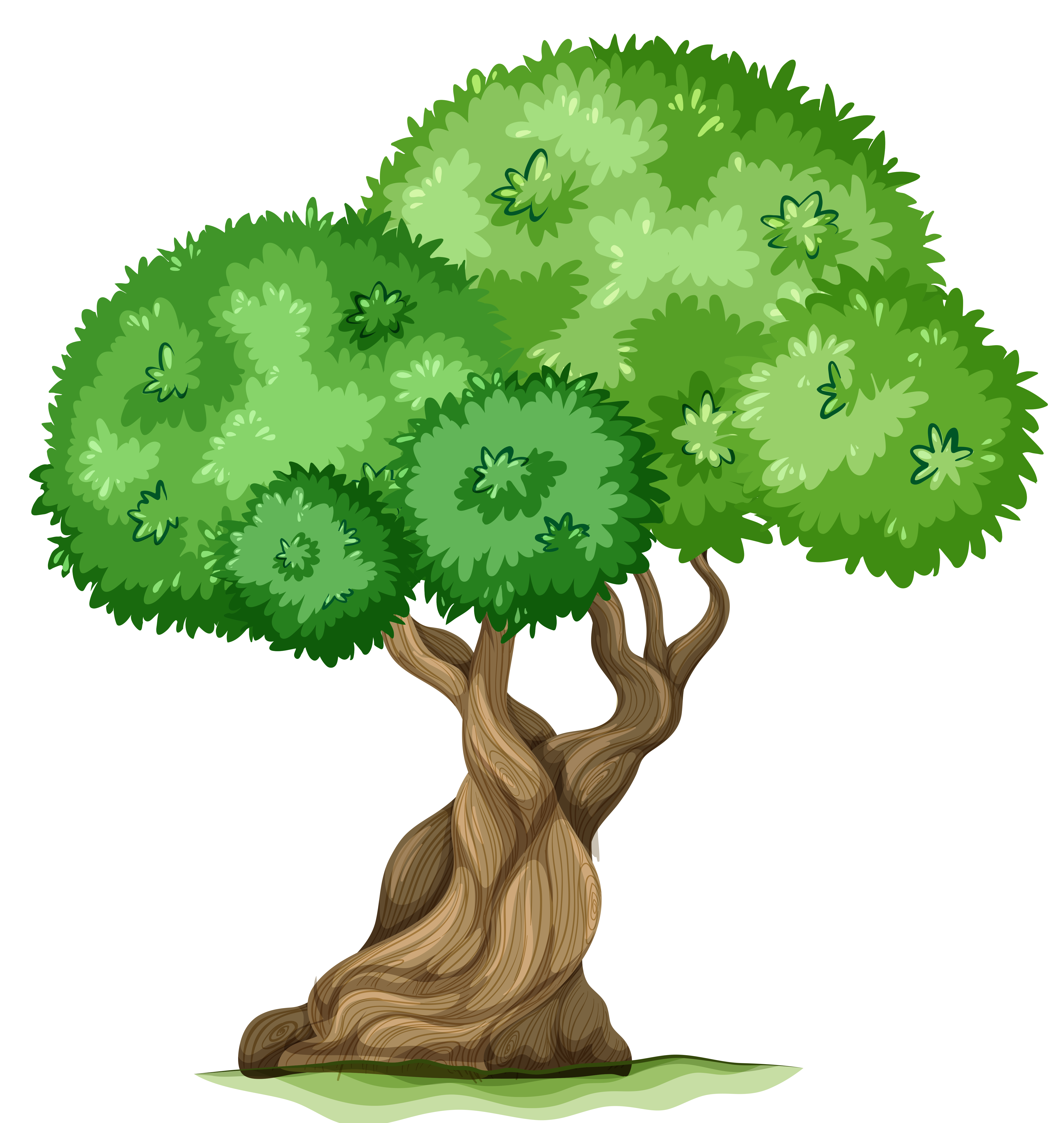Cartoon Tree PNG Picture