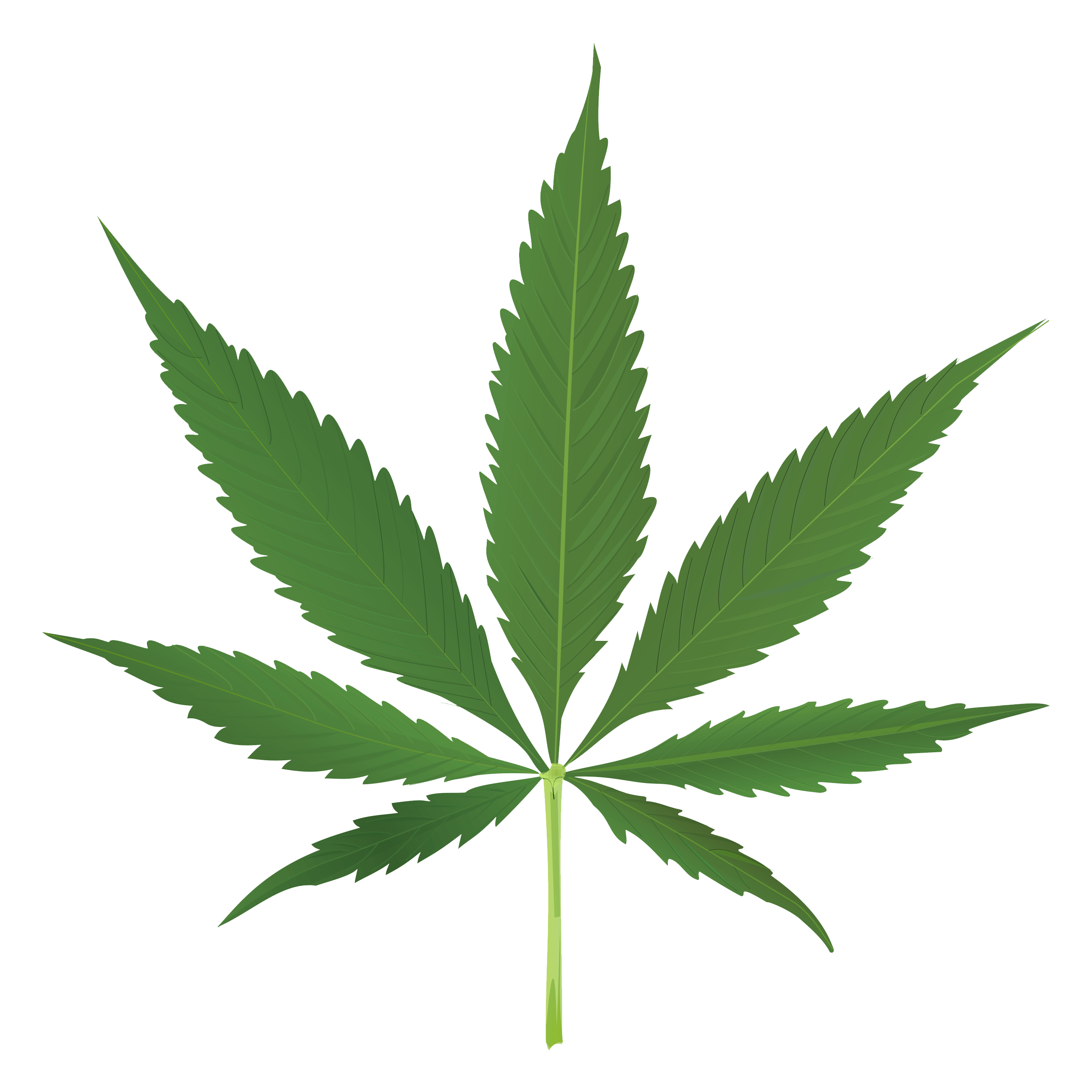 Cartoon Weed Leaf PNG Clipart