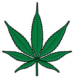 Cartoon Weed Leaf PNG Isolated HD