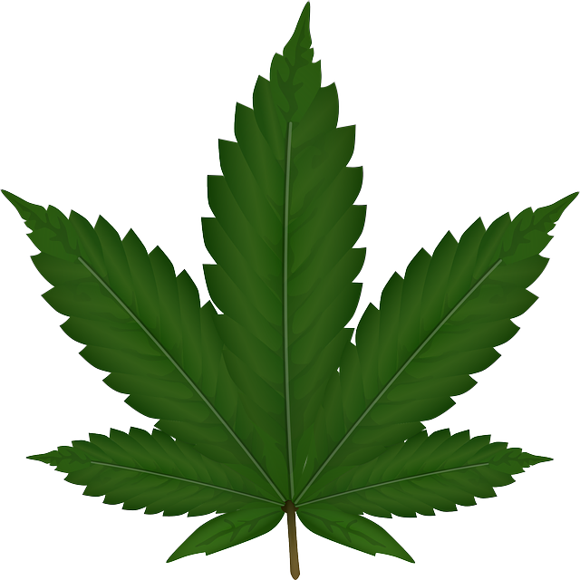 Cartoon Weed Leaf PNG Picture