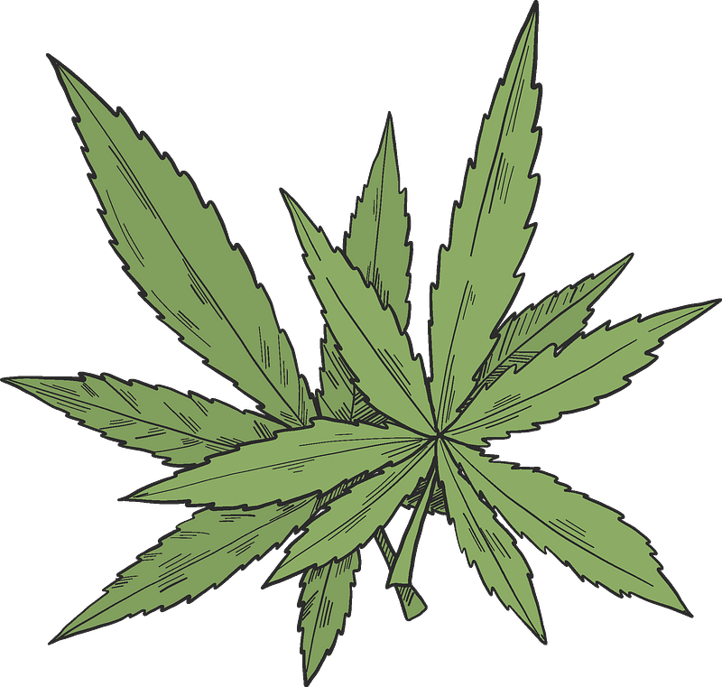 Cartoon Weed Leaf PNG