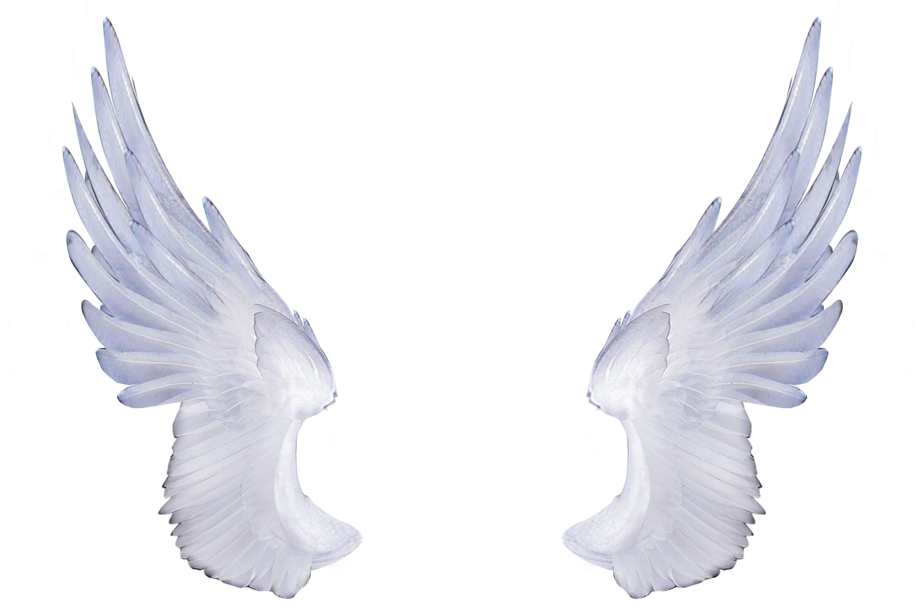 Cartoon Wings PNG Isolated HD