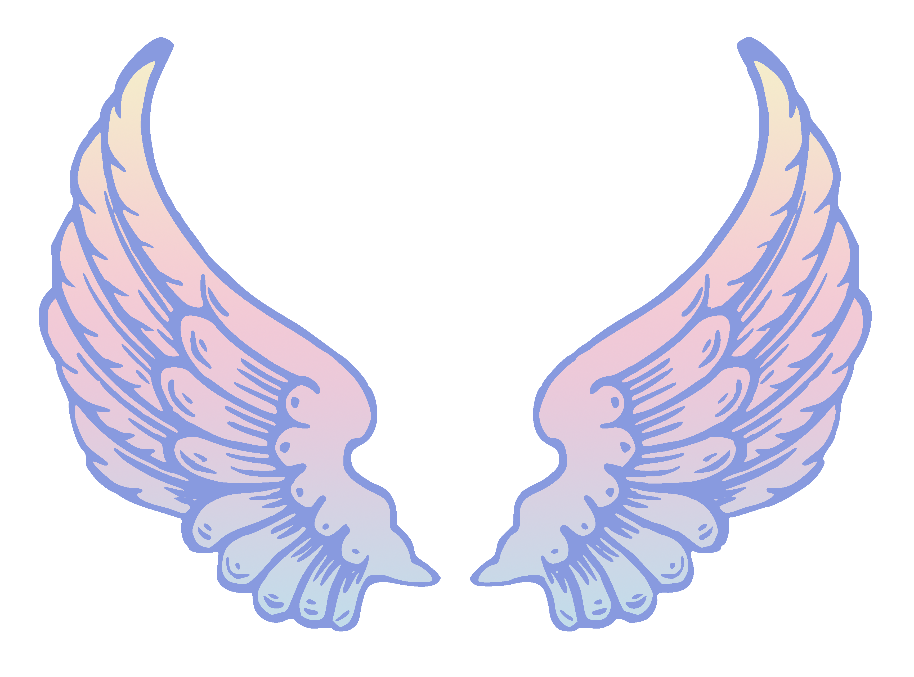 Cartoon Wings PNG Isolated Image