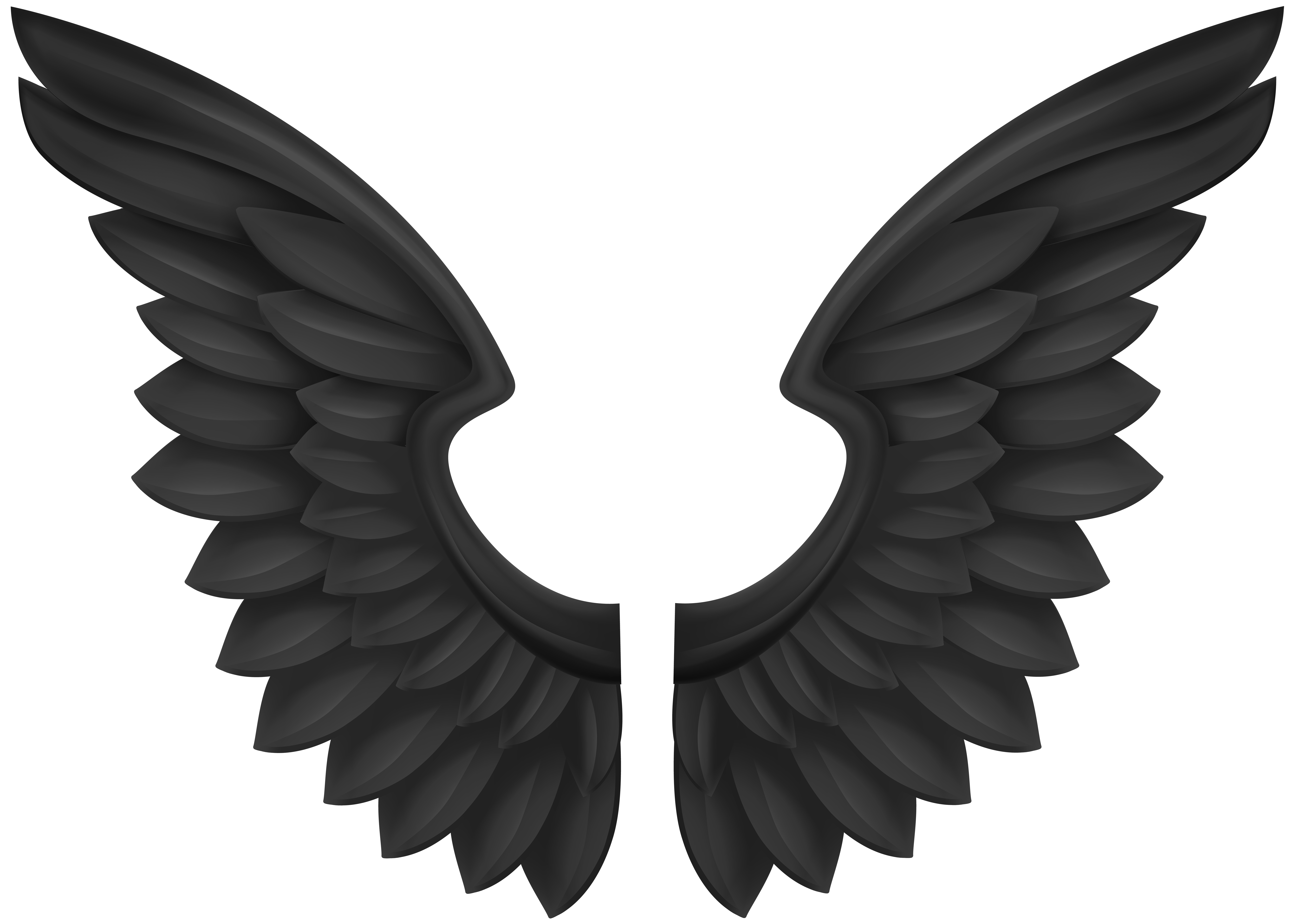 Cartoon Wings PNG Isolated Photo