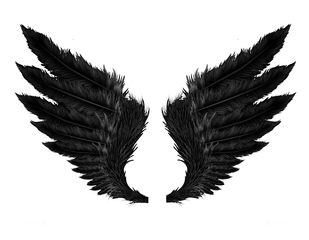 Cartoon Wings PNG Isolated Pic