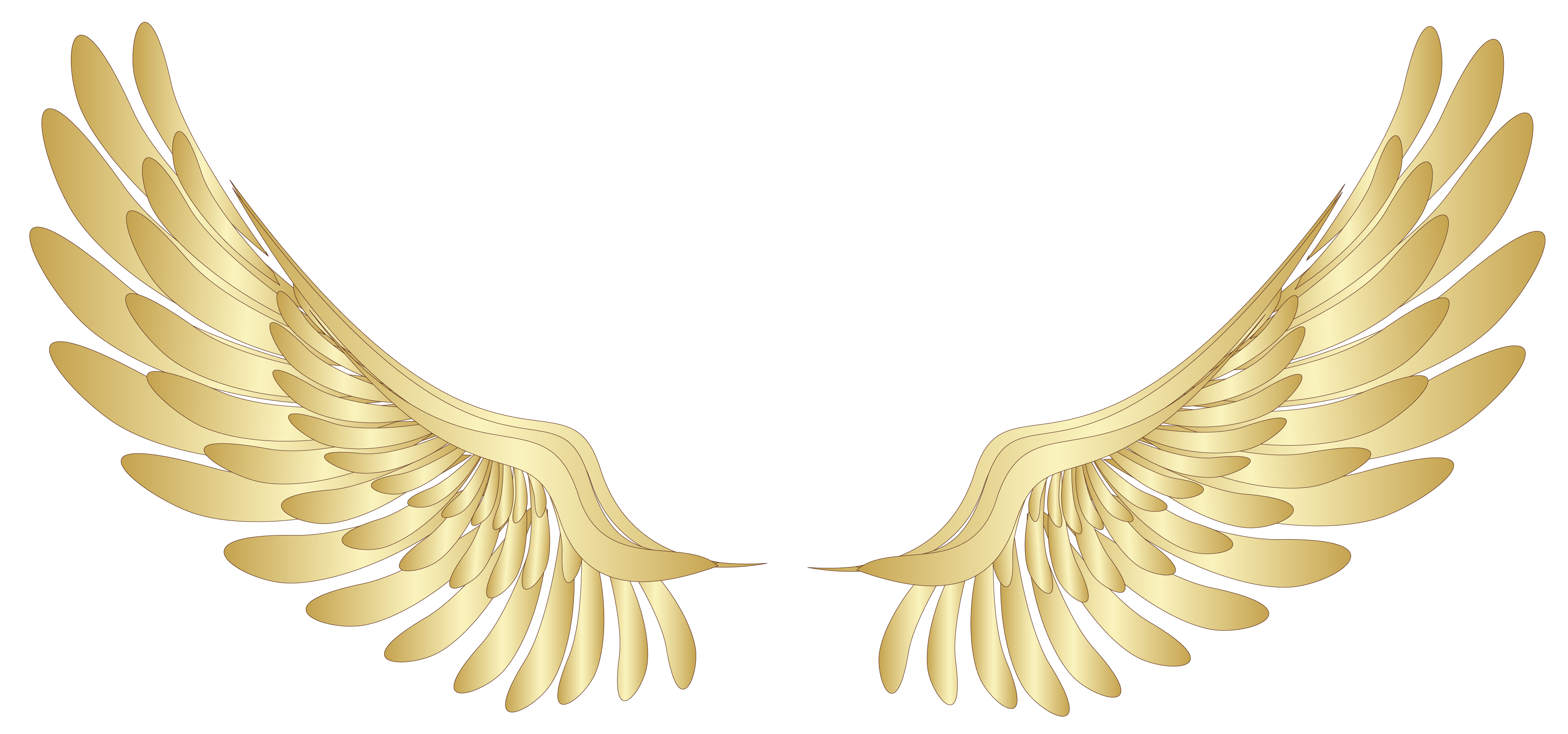 Cartoon Wings PNG Picture