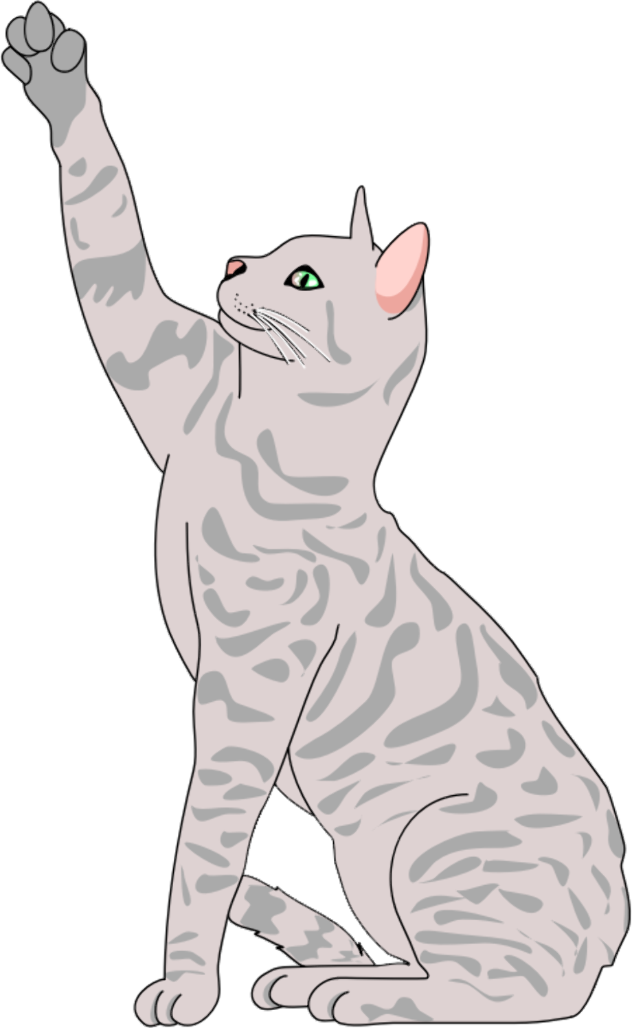 Cat Cartoon PNG File