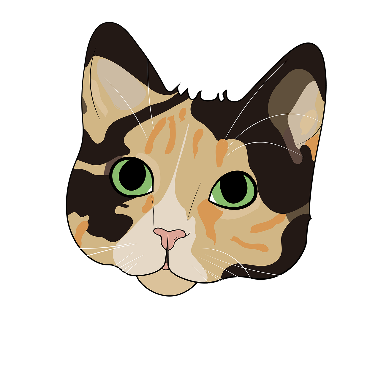 Cat Face PNG Isolated HD